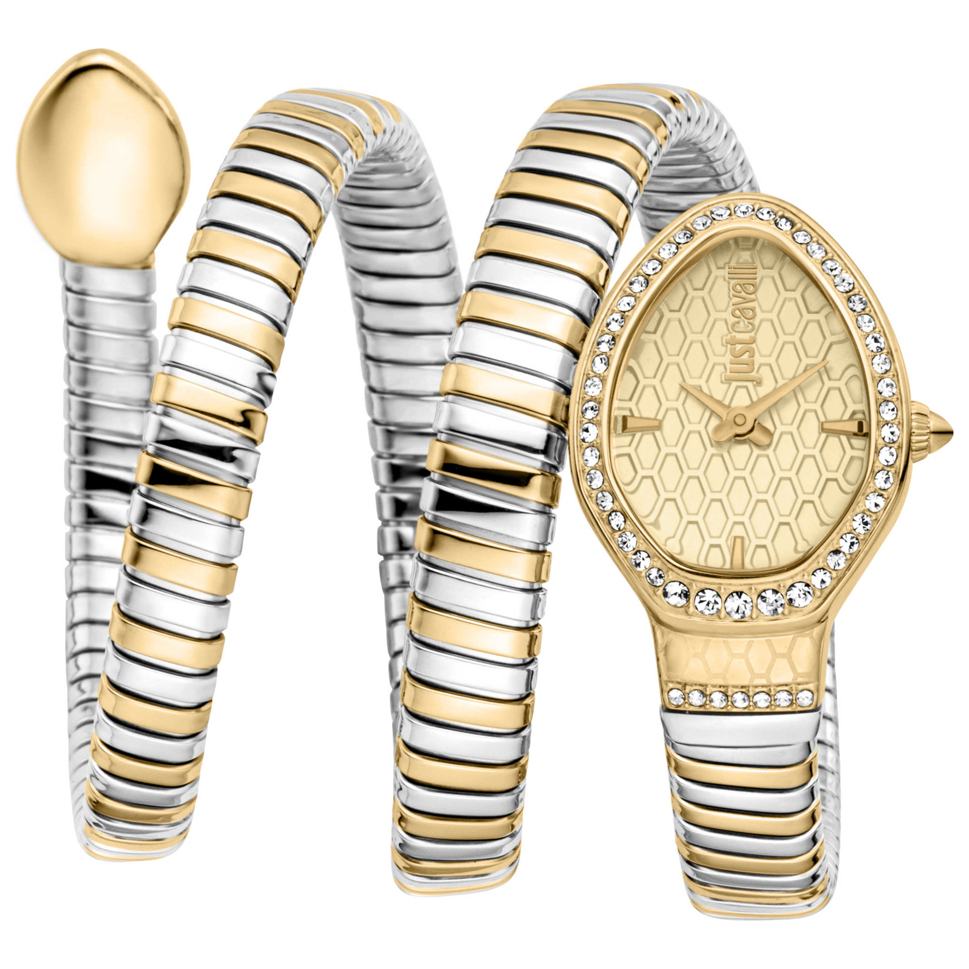 Just Cavalli Women's Watch JC1L372M0055