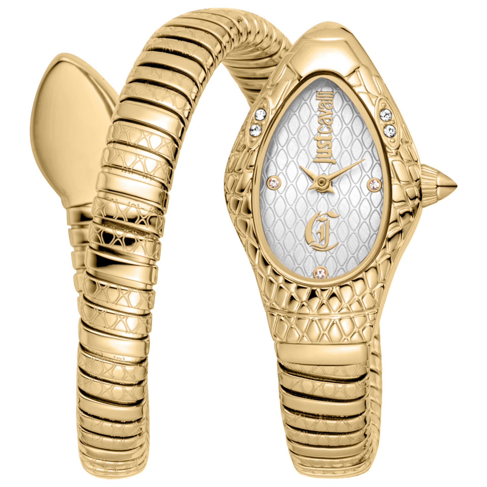 Just Cavalli Women's Watch JC1L373M0025