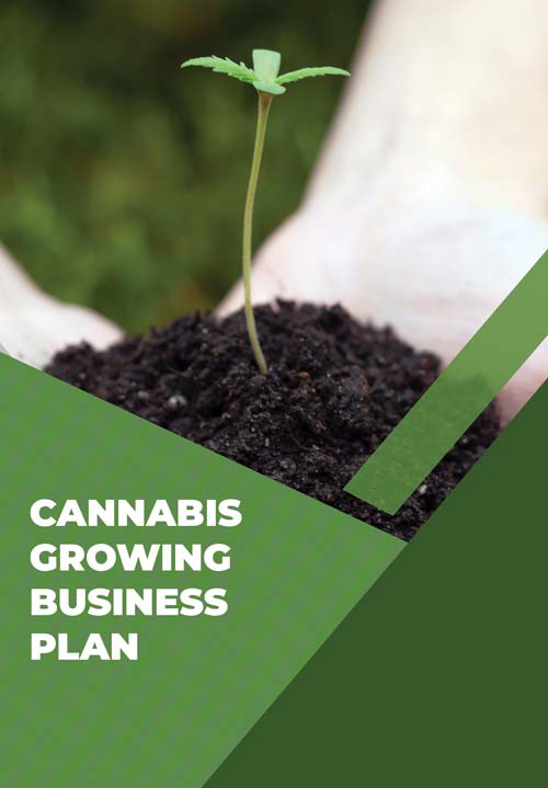 cannabis-business-plan cannabis business plan