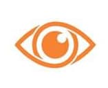 Wise Startups 2 sharp vision