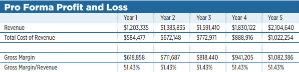 Eplace Solution - An Online Marketplace Business Plan 9 Profit and Loss Statement of online marketplace business plan