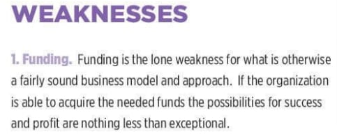 Something Borrowed Something New - A Drop Shipping Business Model 6 SWOT analysis of E commerce business plan samples
