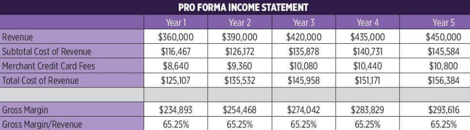 Something Borrowed Something New - A Drop Shipping Business Model 9 personal income statement of E commerce business plan samples