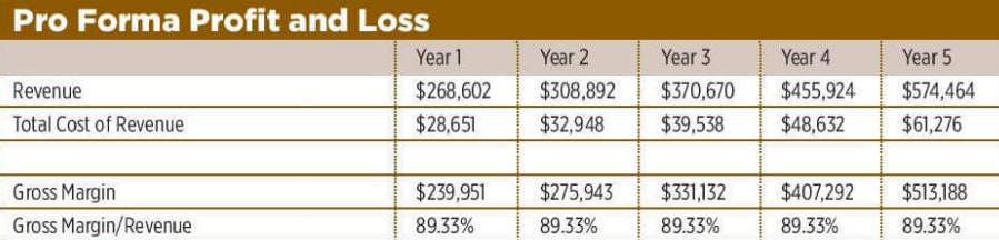 Sample Business Plan 8 10 profit and loss statement of coffee shop business plan samples