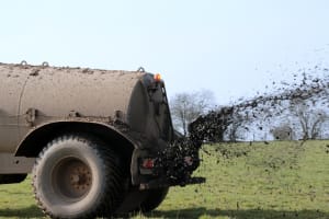Compost Companies see Vigorous Growth with Wise Business Plans 1 Composting Company