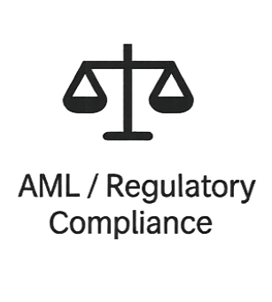 AML / Regulatory Compliance