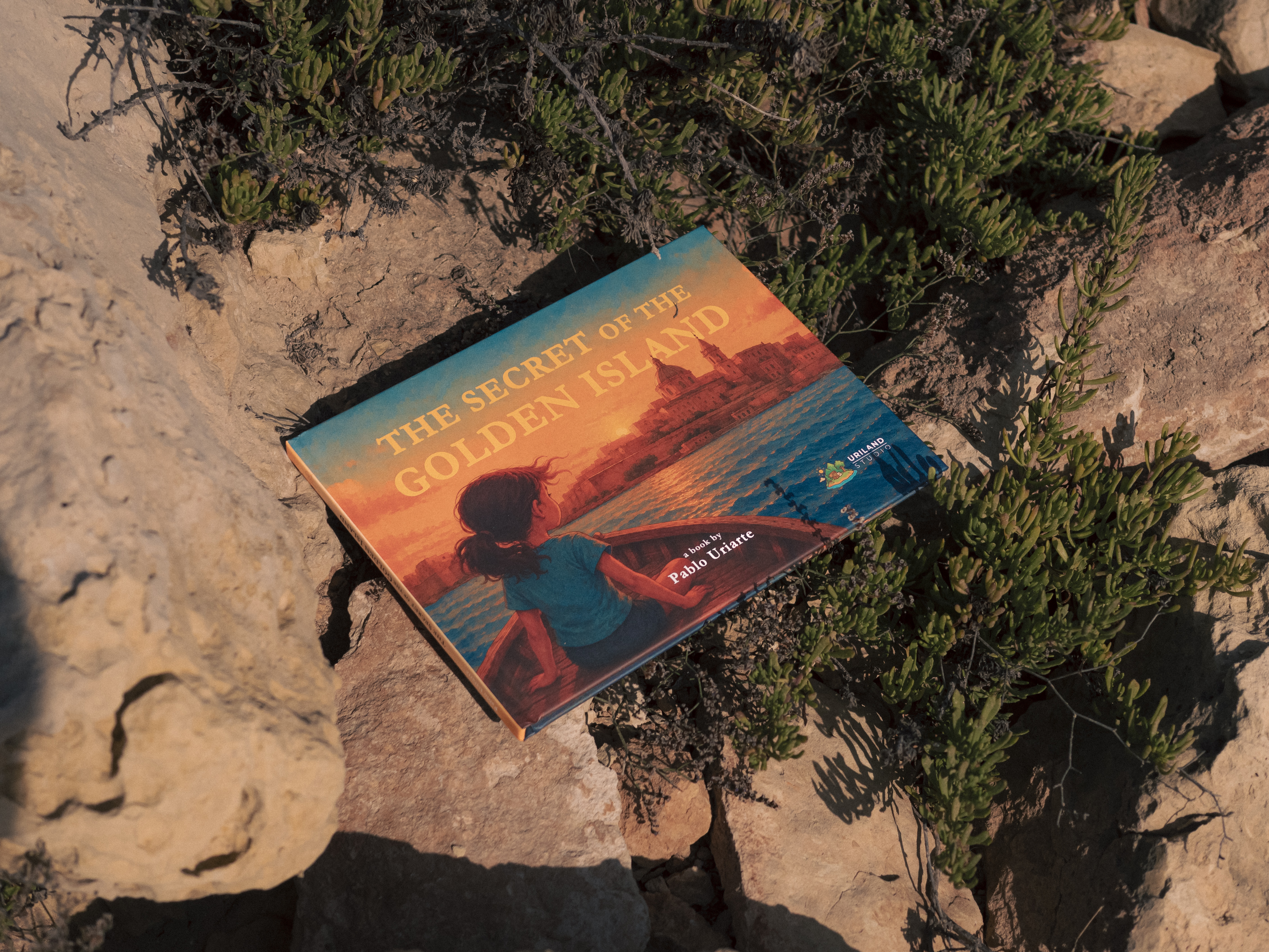The Secret of the Golden Island - book photo
