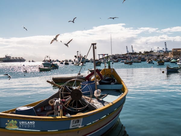 A luzzu fishing boat with seagulls flying overhead