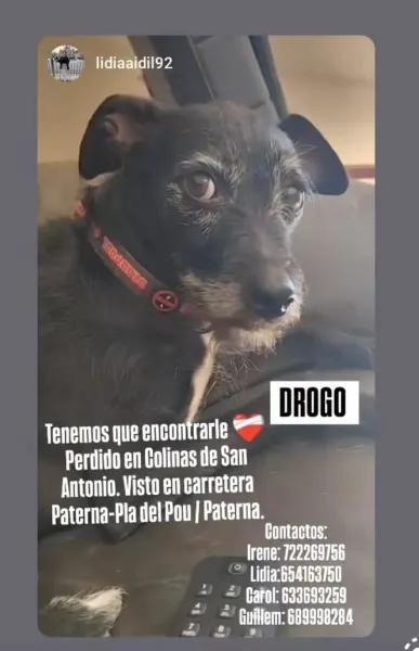Drogo - Image 1
