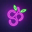 SPINBERRY logo