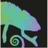 Content Chameleon logo