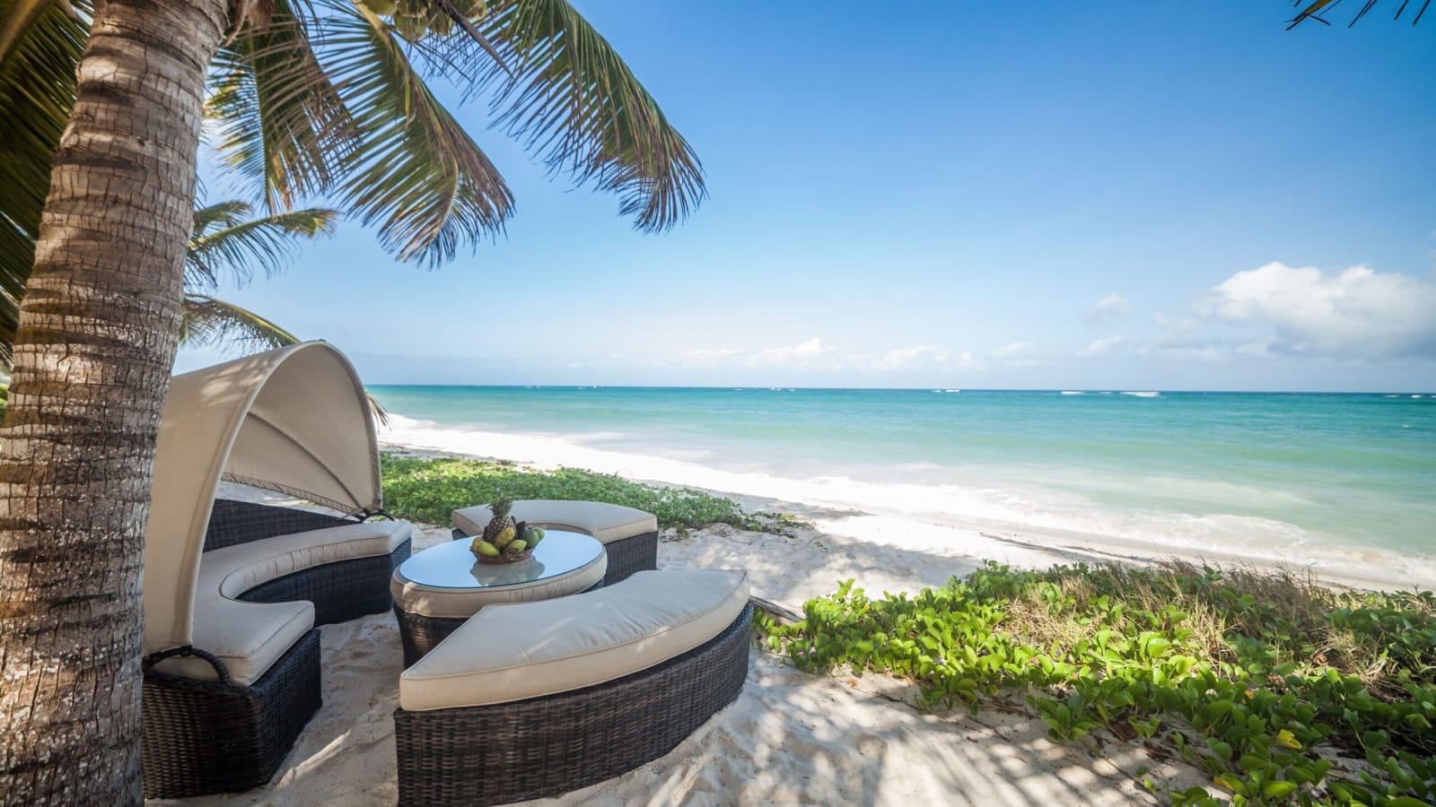 Explore Kenya, East Africa and Beyond with Sweet Rose Safaris