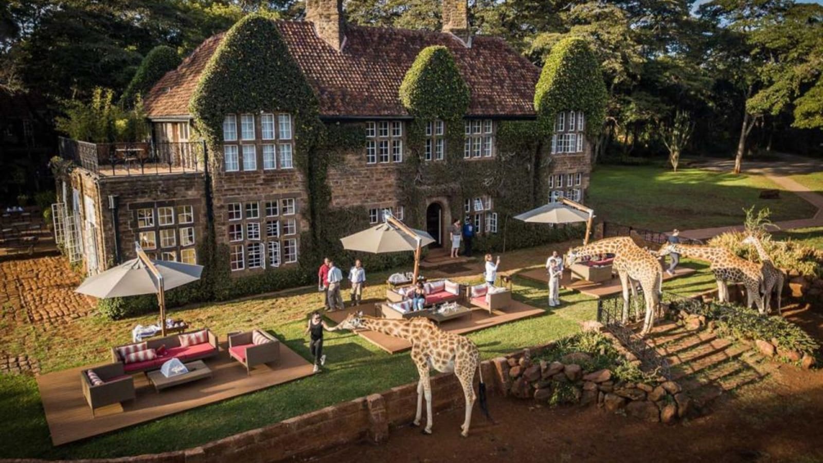 Explore Kenya, East Africa and Beyond with Sweet Rose Safaris