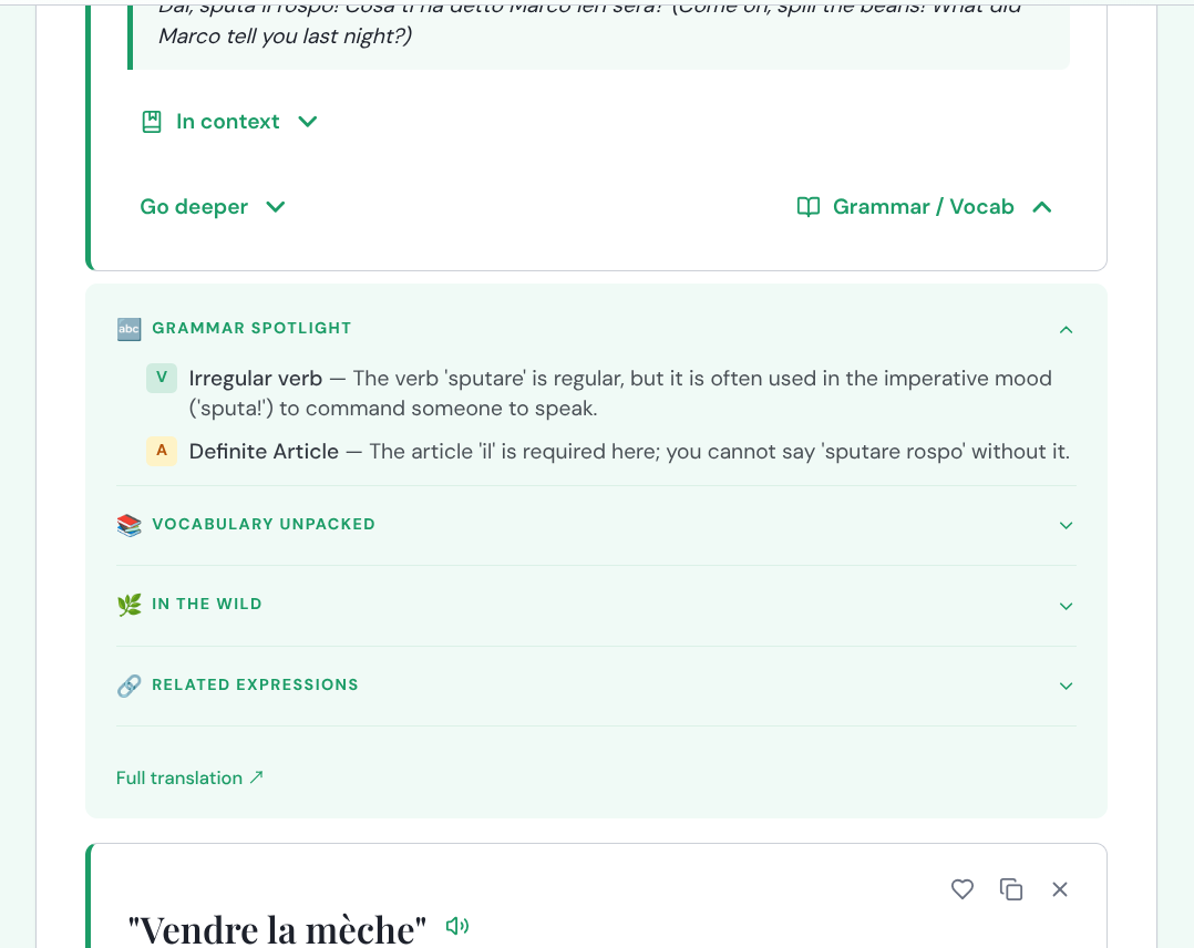 Grammar Spotlight showing Irregular verb and Definite Article notes, plus Vocabulary Unpacked, In the Wild, Related Expressions sections
