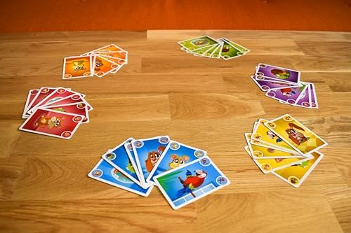 Vue 5 de Blue Orange Kikafe Jeu