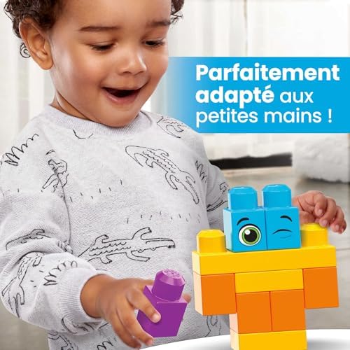 Vue 5 de Mega Bloks Coffret De