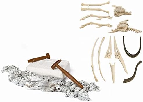 Vue 5 de Clementoni Archeo Ludic Pteranodon