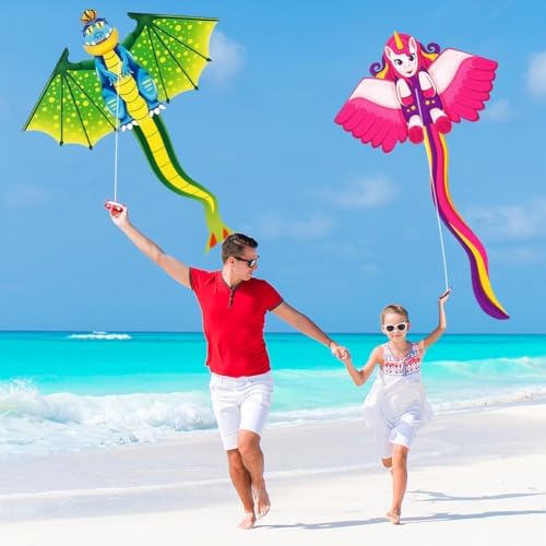 Vue 6 de Flintronic Cerfsvolants Grand Cerf