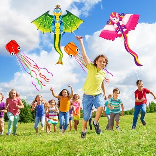 Vue 7 de Flintronic Cerfsvolants Grand Cerf