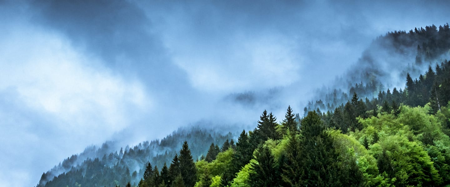 Gesunde Ernährung und Klimaschutz