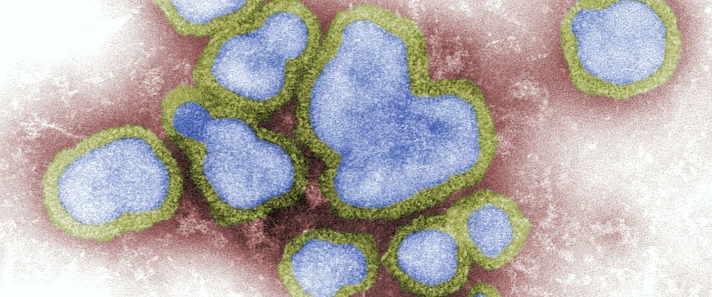 Coronavirus und grippale Infekte (Influenza Viren)