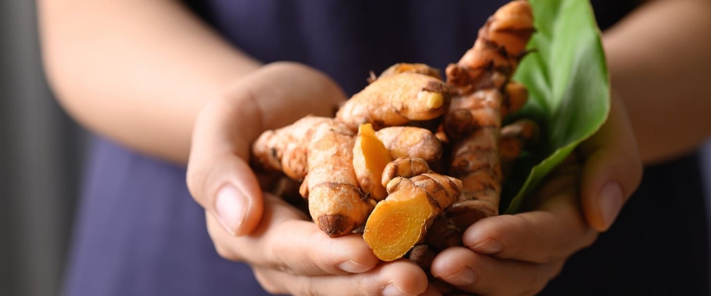 Vegetarische und vegane Ernährung