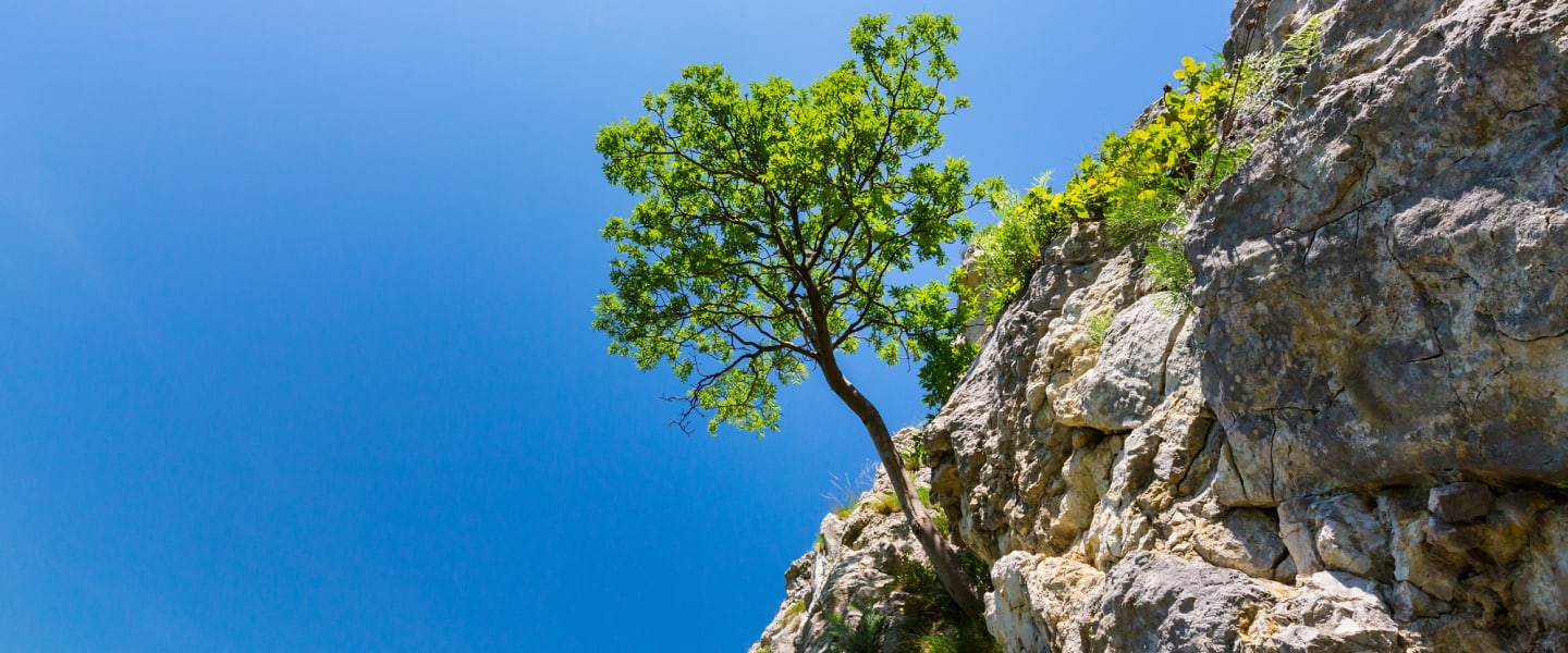 Resilienz – mehr Gelassenheit im Leben