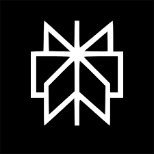 Vibe Coding the future of software development