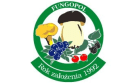 Fungopol - Grzyby - najwyższa jakość produktów leśnych Fungopol - Grzyby - najwyższa jakość produktów leśnych