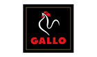 GALLO