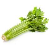 FRISCO FRESH Seler naciowy 300 g