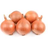 FRISCO FRESH Cebula krajowa 5-8 szt. 1 kg