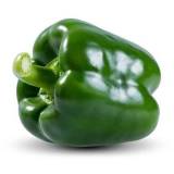 FRISCO FRESH Papryka zielona 1-2 szt. 250 g