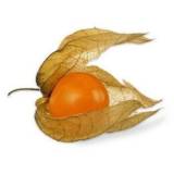 FRISCO FRESH Physalis (Miechunka) 100 g