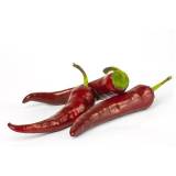 FRISCO FRESH Papryka czuszka 12-15szt. 100 g