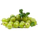FRISCO FRESH Agrest krajowy 500 g