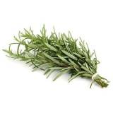 FRISCO FRESH Rozmaryn - świeży cięty 100 g