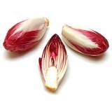 FRISCO FRESH Cykoria czerwona 250 g