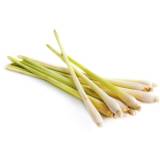 FRISCO FRESH Trawa cytrynowa - pęczek 150 g
