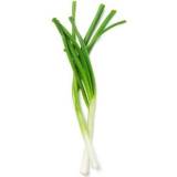 FRISCO FRESH Szczypior Parade - pęczek 50 g