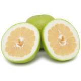 FRISCO FRESH Grejpfrut zielony Sweetie 2-3szt. 800 g