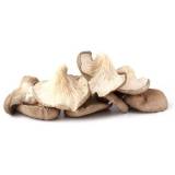 FRISCO ORGANIC Boczniaki BIO 200 g