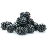 FRISCO FRESH Jeżyny 125 g