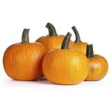 FRISCO FRESH Dynia Gomez 1szt. (2,5-3,5 kg) 3 kg