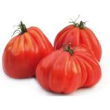FRISCO FRESH Pomidory Bawole Serca (Rebelion) 2-4 szt. 600 g