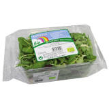 FRISCO ORGANIC Mix świeżych sałat BIO 100 g