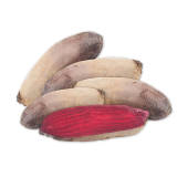 FRISCO FRESH Burak podłużny czerwony 5-6szt. 1 kg