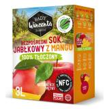 SADY WINCENTA Sok jabłkowy z mango w kartonie tłoczony 3 l
