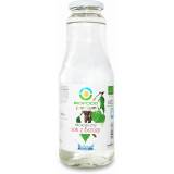BIO FOOD Sok z brzozy BIO 1 l