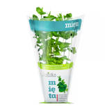 BAZIÓŁKA Mięta XXL 50 g